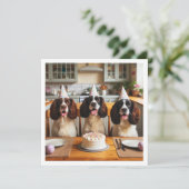 イングリッシュスリンガースパニエル犬カード、スパニエル犬誕生日 招待状 (スタンド正面)