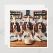 イングリッシュスリンガースパニエル犬カード、スパニエル犬誕生日 招待状 (正面/裏面)