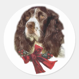 イングリッシュスリンガースパニエル犬クリスマスプレゼント ラウンドシール