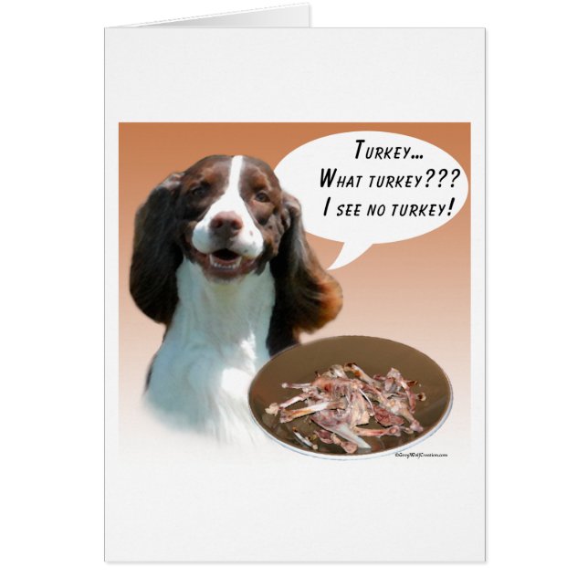 イングリッシュスリンガースパニエル犬トルコ (正面)