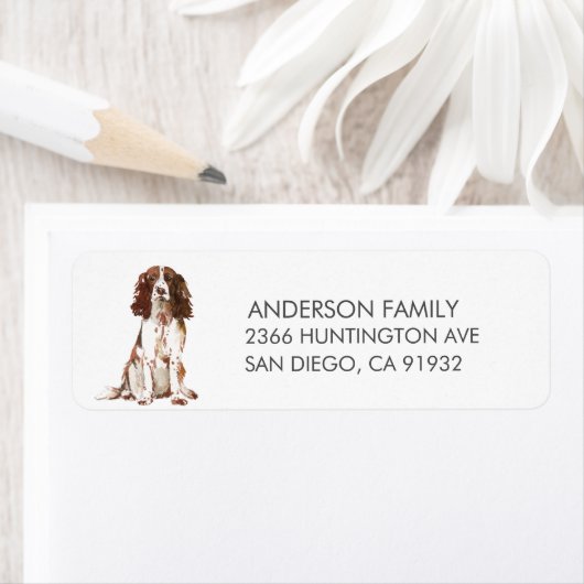 イングリッシュスリンガースパニエル犬ドッグ差出人住所ラベル ラベル (インサイチュ)