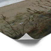 イングリッシュスリンガースパニエル犬プリント ポスター (角)