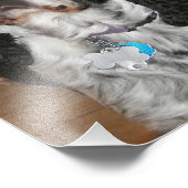 イングリッシュスリンガースパニエル犬ペットドッグ フォトプリント (角)