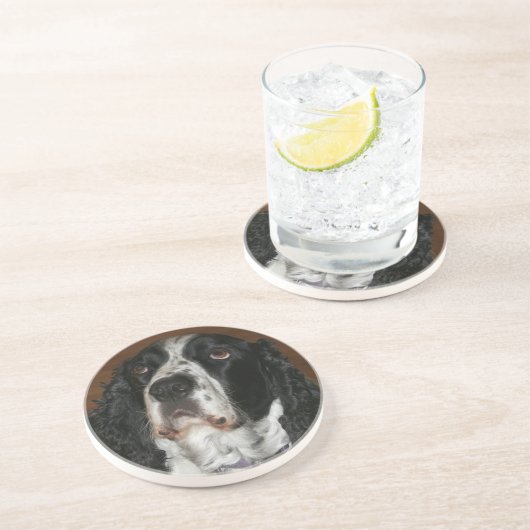 イングリッシュスリンガースパニエル犬ペットフォトサンドストーン コースター (側面)