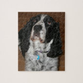 イングリッシュスリンガースパニエル犬ペットフォト ジグソーパズル (縦)