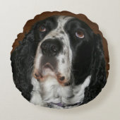 イングリッシュスリンガースパニエル犬ペットフォト ラウンドクッション (正面)