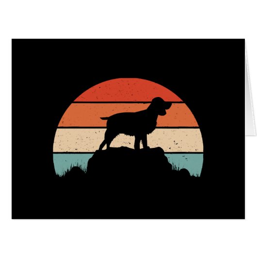 イングリッシュスリンガースパニエル犬 (正面横)