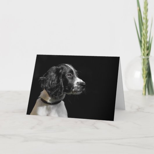 イングリッシュスリンガースパニエル犬 カード (正面)