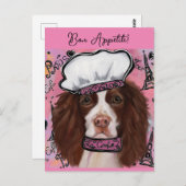 イングリッシュスリンガースパニエル犬 ポストカード (正面/裏面)