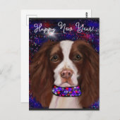 イングリッシュスリンガースパニエル犬 ポストカード (正面/裏面)