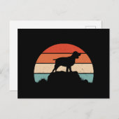 イングリッシュスリンガースパニエル犬 ポストカード (正面/裏面)