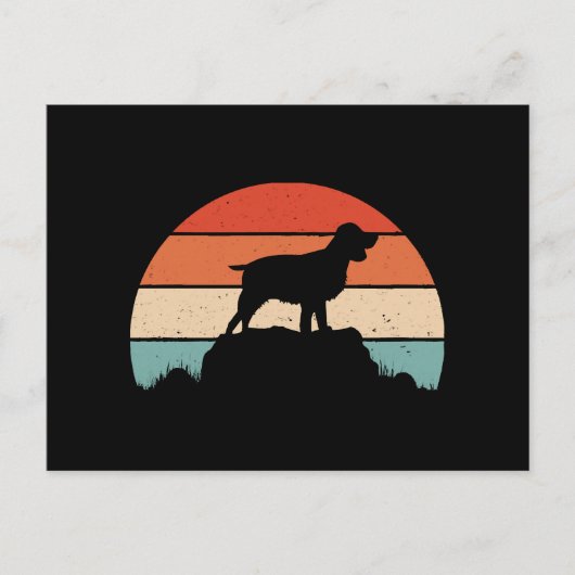 イングリッシュスリンガースパニエル犬 ポストカード (正面)