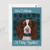 イングリッシュスリンガースパニエル犬 ポストカード (正面/裏面)