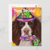 イングリッシュスリンガースパニエル犬 ポストカード (正面/裏面)