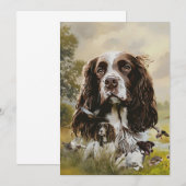 イングリッシュスリンガースパニエル犬 招待状 (正面/裏面)