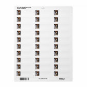 イングリッシュスリンガースパニエル犬w ducking ラベル (フルシート)