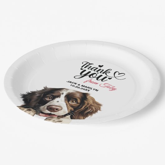 イングリッシュスリンガー結婚スパニエル犬サンキュー ペーパープレート (アングル)