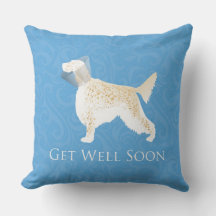 イングリッシュセッターが犬のシルエットを上手に仕上げる