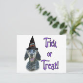 イングリッシュセッタートリック ポストカード (スタンド正面)