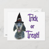 イングリッシュセッタートリック ポストカード (正面/裏面)