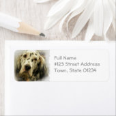 イングリッシュセッタードッグ差出人住所ラベル ラベル (インサイチュ)