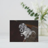 イングリッシュセッターパピー ポストカード (スタンド正面)