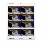 イングリッシュセッターパピー ラベル (フルシート)