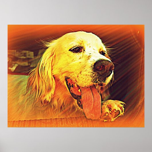 イングリッシュセッター狩り犬 ポスター (正面)