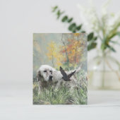 イングリッシュセッター,ウッドコック狩りシーズン,アート シーズンポストカード (スタンド正面)