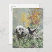 イングリッシュセッター,ウッドコック狩りシーズン,アート シーズンポストカード (正面/裏面)