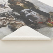 イングリッシュセッター、ウッドコック狩り シェルパブランケット (3/4)