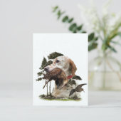 イングリッシュセッター、ウッドコック狩り シーズンポストカード (スタンド正面)