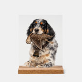 イングリッシュセッター、ヤマシギ狩猟、犬アート アクリルサイン (正面)