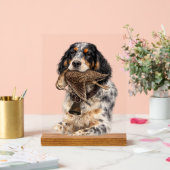 イングリッシュセッター、ヤマシギ狩猟、犬アート アクリルサイン (ウェディング)