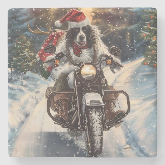 イングリッシュセッター 犬 オートバイ クリスマス ストーンコースター (正面)