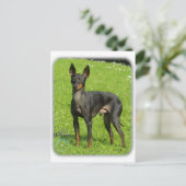 イングリッシュトイテリア9R78D-77 ポストカード (スタンド正面)