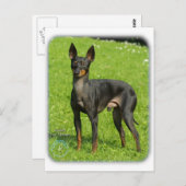 イングリッシュトイテリア9R78D-77 ポストカード (正面/裏面)