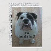 イングリッシュブルドッグクールバチュラーパーティ招待状 招待状 (正面/裏面)