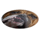 イングリッシュブルドッグ装飾用クッション カッティングボード (角)