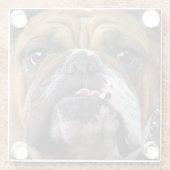 イングリッシュブルドッグ装飾用クッション ガラスコースター (裏面)