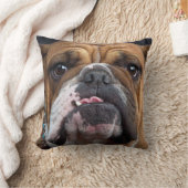 イングリッシュブルドッグ装飾用クッション クッション (ブランケット)