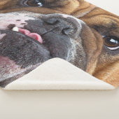 イングリッシュブルドッグ装飾用クッション シェルパブランケット (3/4)