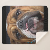 イングリッシュブルドッグ装飾用クッション シェルパブランケット (正面(横))