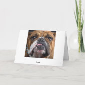 イングリッシュブルドッグ装飾用クッション シーズンカード (裏面)