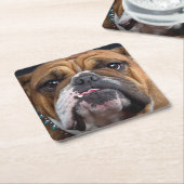 イングリッシュブルドッグ装飾用クッション スクエアペーパーコースター (アングル)