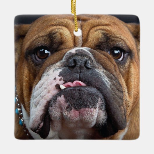 イングリッシュブルドッグ装飾用クッション セラミックオーナメント (正面)