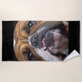 イングリッシュブルドッグ装飾用クッション ビーチタオル (正面)