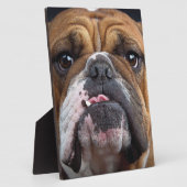 イングリッシュブルドッグ装飾用クッション フォトプラーク (側面)