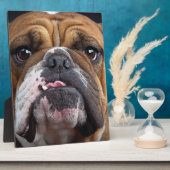 イングリッシュブルドッグ装飾用クッション フォトプラーク (側面)