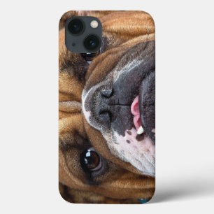イングリッシュブルドッグ装飾用クッション iPhone 13ケース